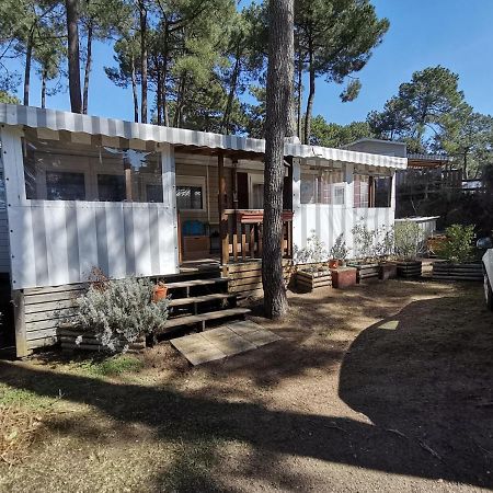 Bonne Anse Plage Les Mathes Kültér fotó
